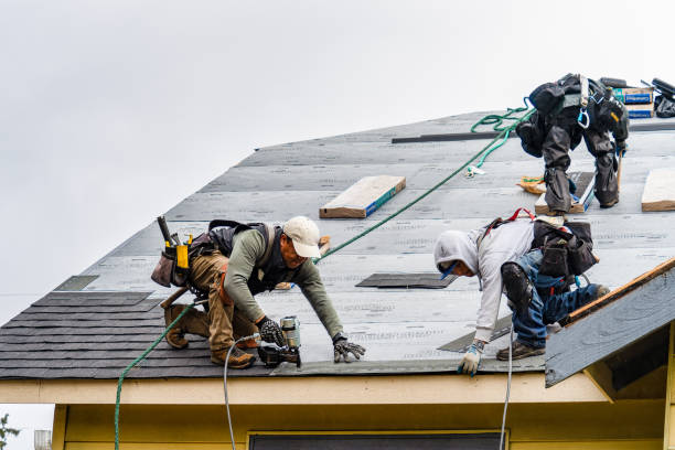Professional Roofing technician working in Albion, IN